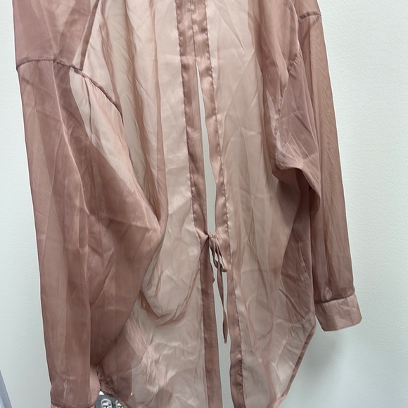 Sheer Brown Button-Up Blouse - Picture 2 of 3